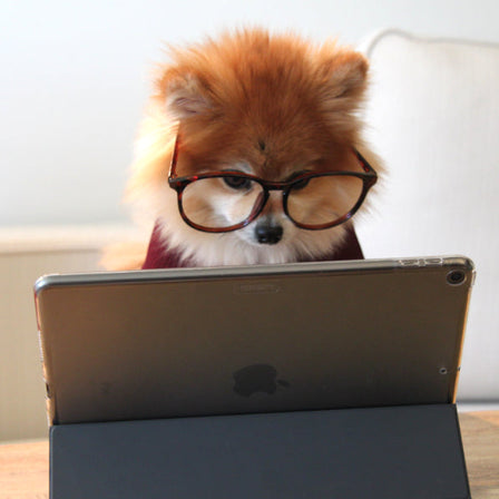 How to Optimize your Meta Title and Description for a Strong SEO Strategy